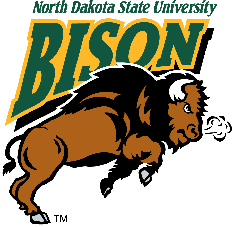 North Dakota State Bison 1999-2012 Alternate Logo v3 iron on transfers for clothing